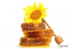 什么时候吃蜂巢蜜最好 蜂巢蜜什么时候吃最好