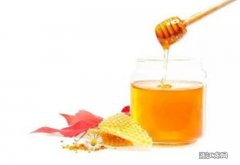 湿热体质可以喝蜂蜜吗 湿热体质能喝蜂蜜水吗